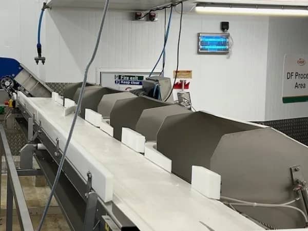 Marel Wholefish Grader – 4 Station