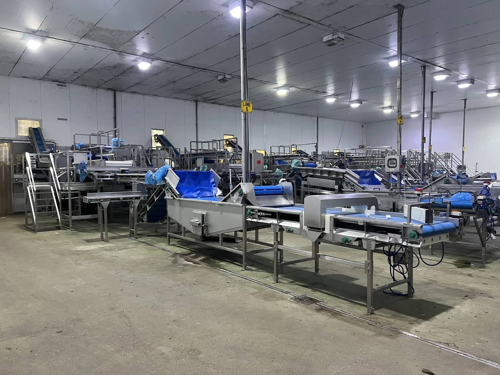 Continuous Potato Peeling Line