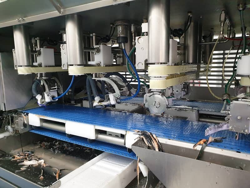 Marel ITM2 Trimming Line