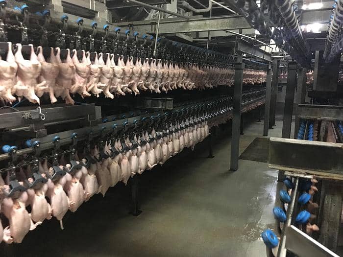 Chicken Air Chilling Line Linco