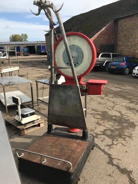 Avery Berkel Floor Scales