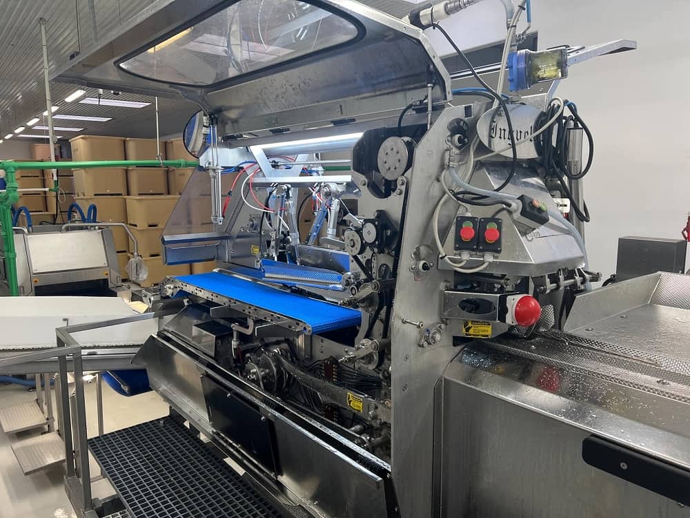 Curio C2011 Fish Filleting Machine - Big Fish