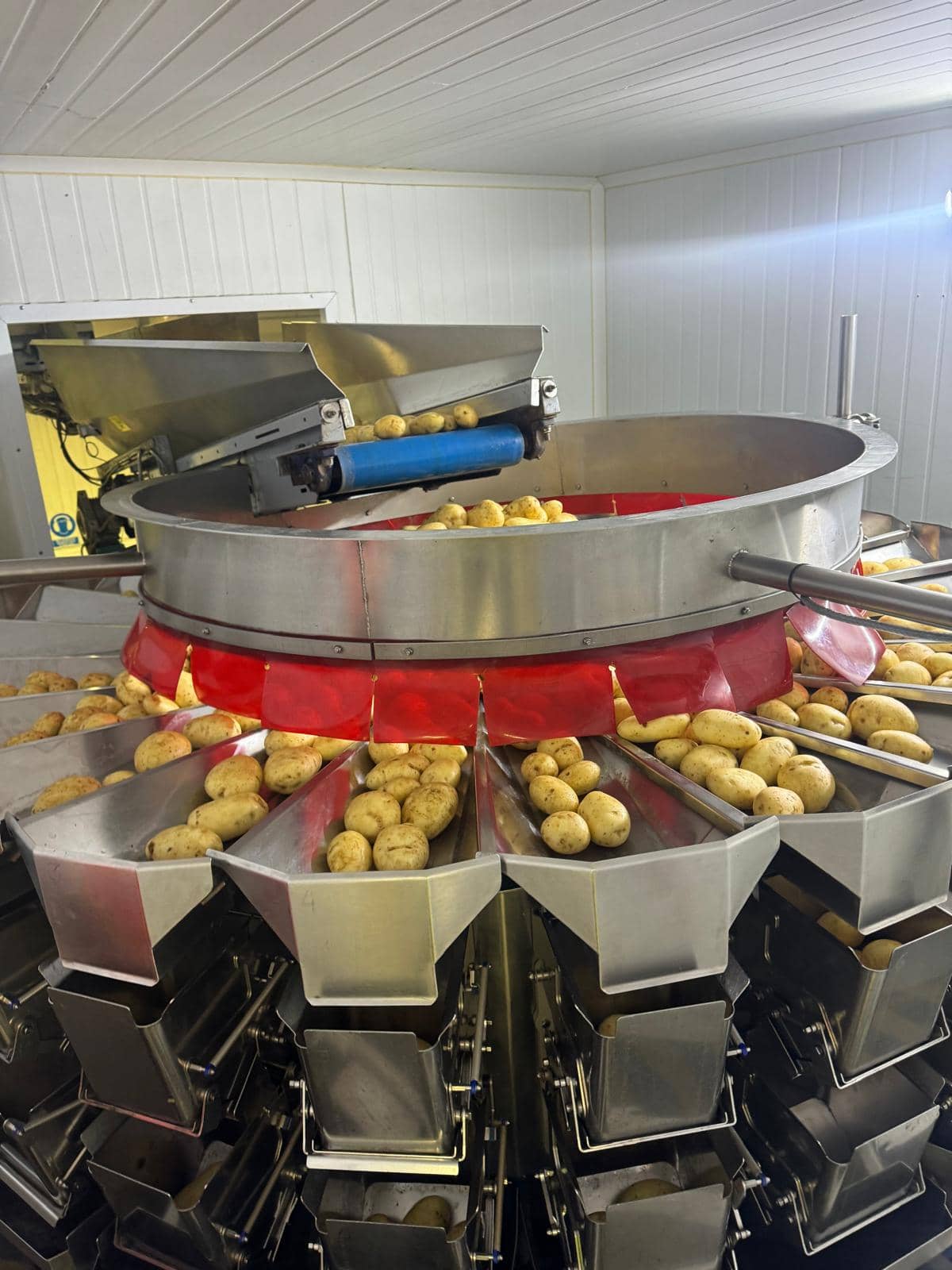 Complete VFFS Bagging Line
