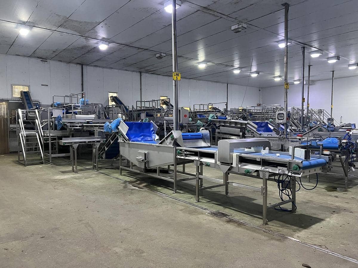 Continuous Potato Peeling Line