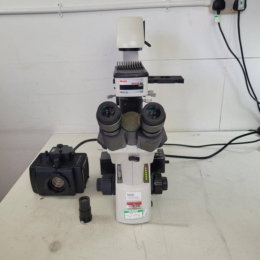 Motic AE31 Microscope