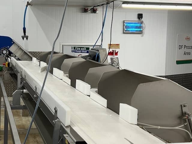 Marel Wholefish Grader - 4 station