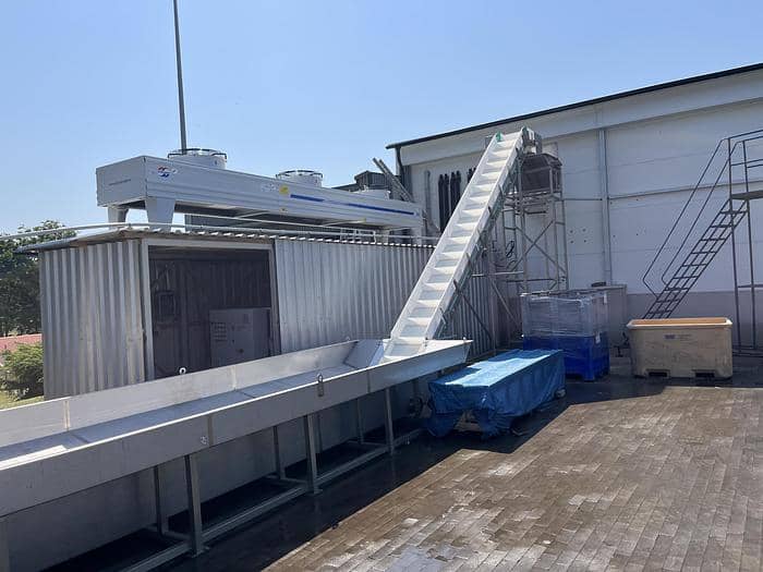 FISHTECS Trout Processing Line