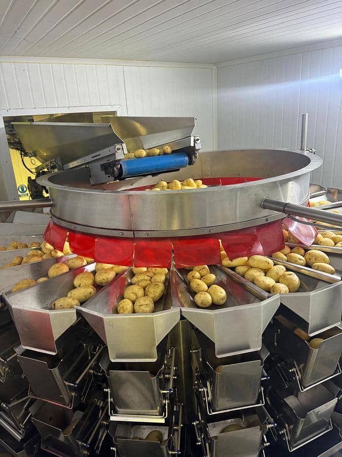 Complete VFFS Bagging Line