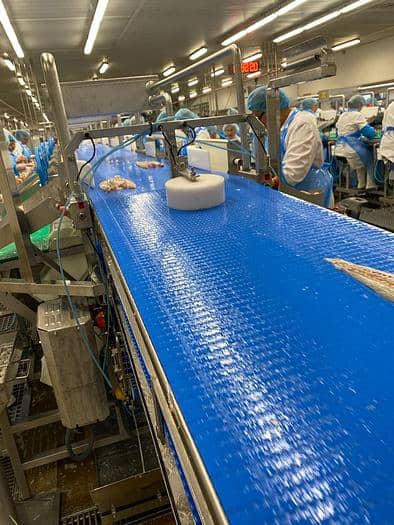 MAREL Flowline/Trimming line