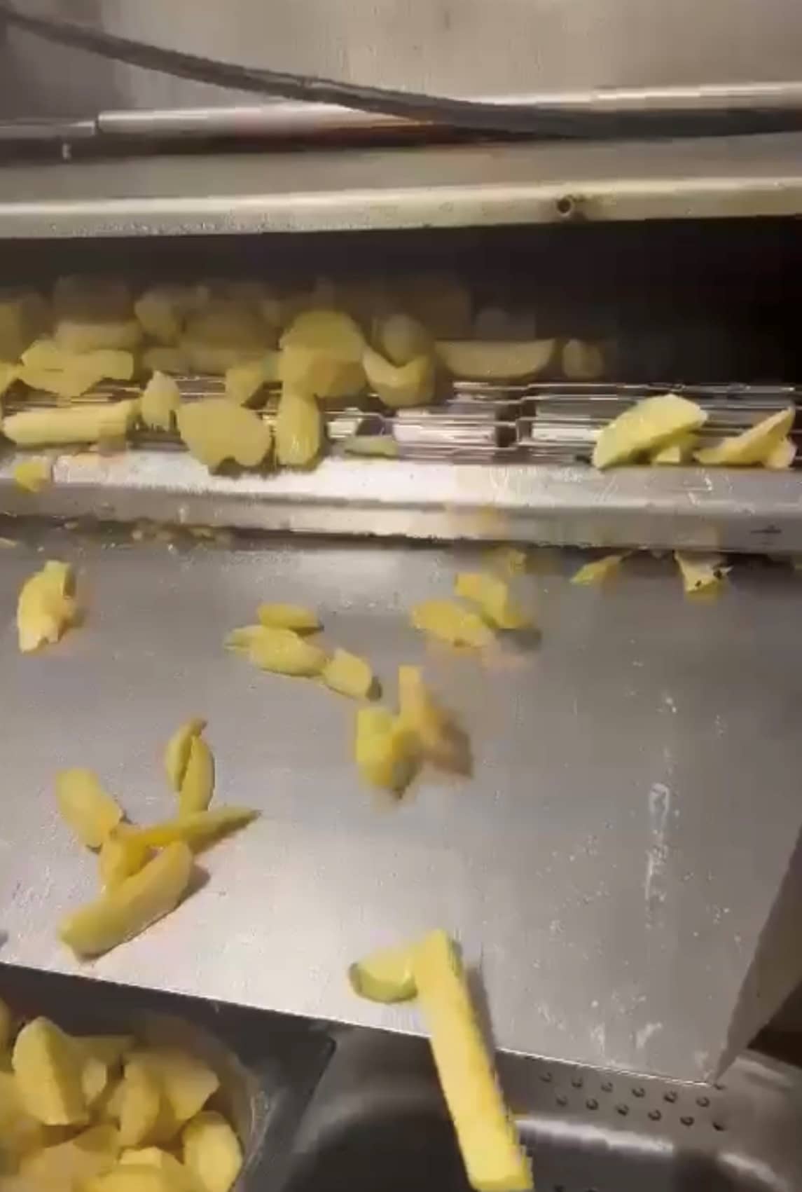 French Fry Line 1.5 ton hr