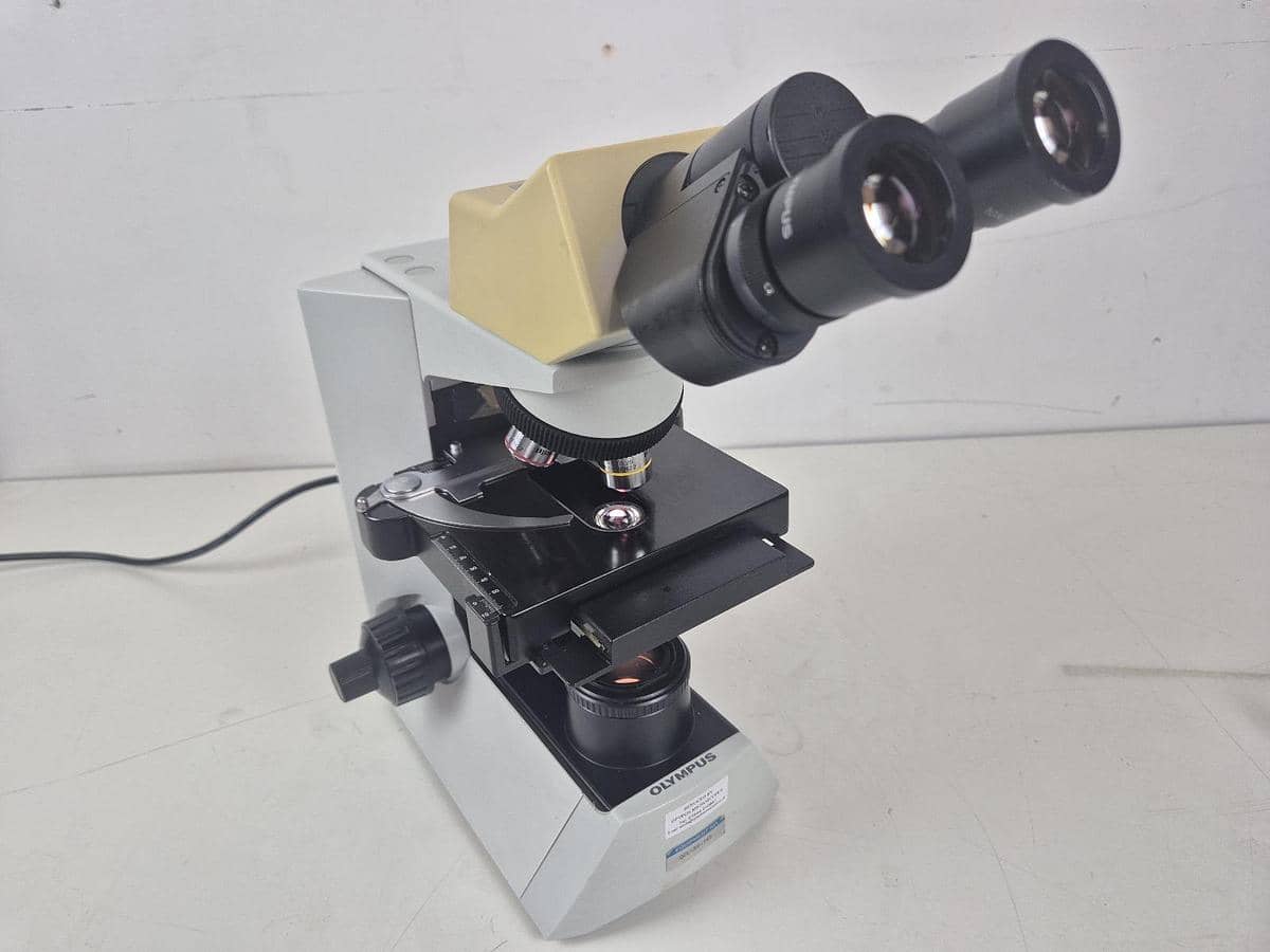 Olympus CX31RBSF Microscope