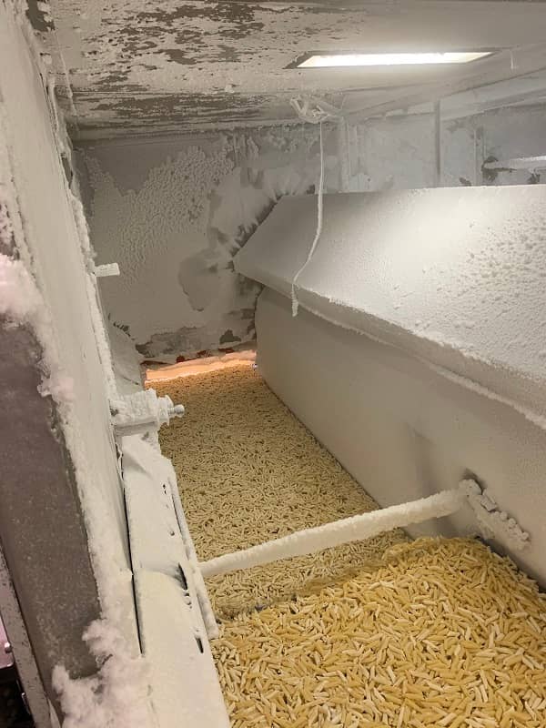 Frigoscandia Flow Freezer 3 ton