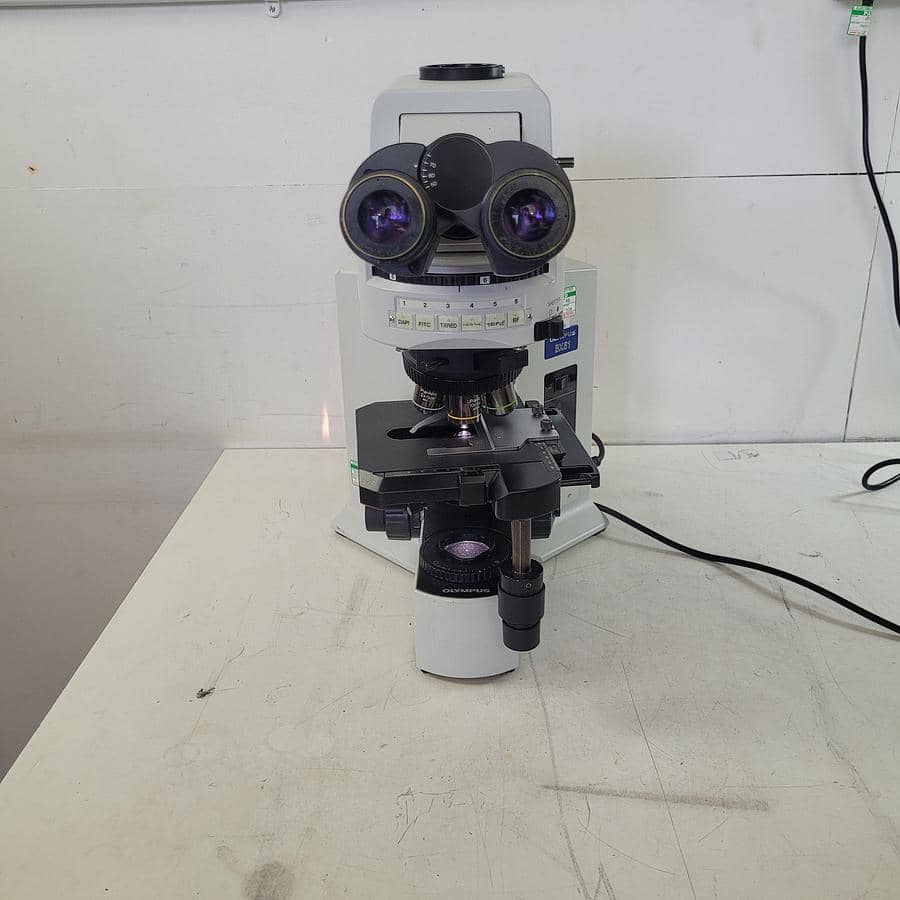Olympus BX51TF Microscope