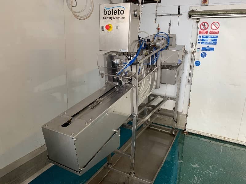 Boleto Trout Gutting Machine