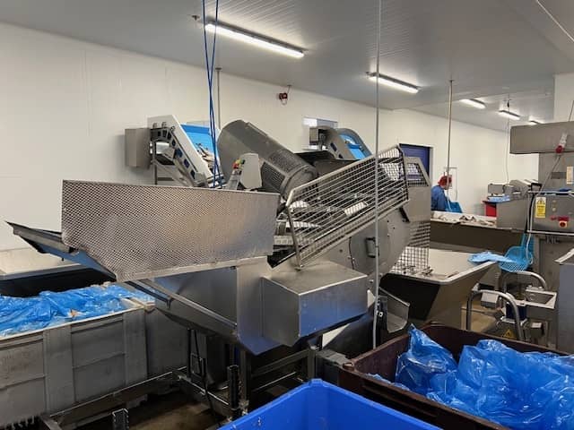 Curio C427 Fish Heading Machine