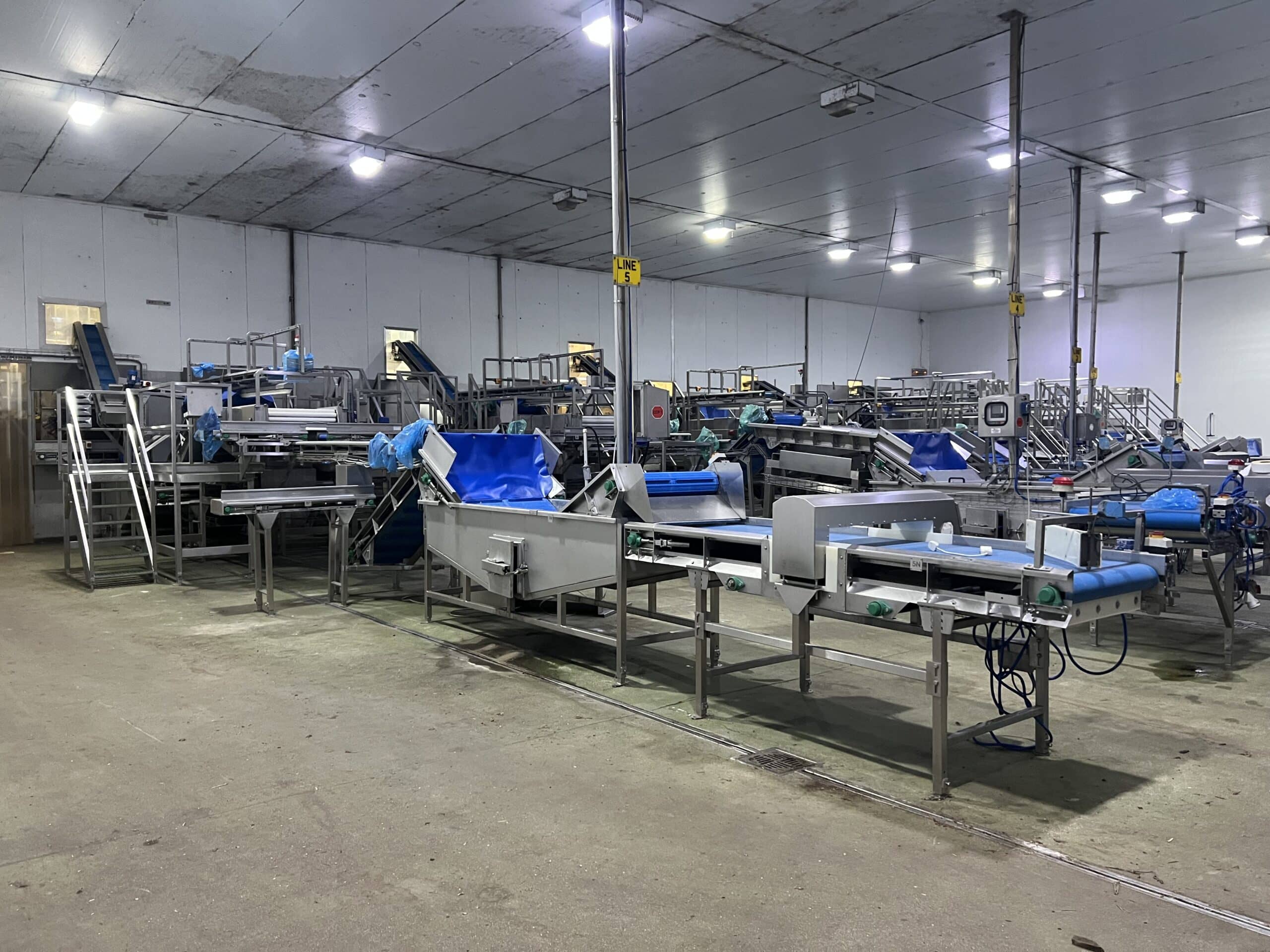 Continuous Potato Peeling Line