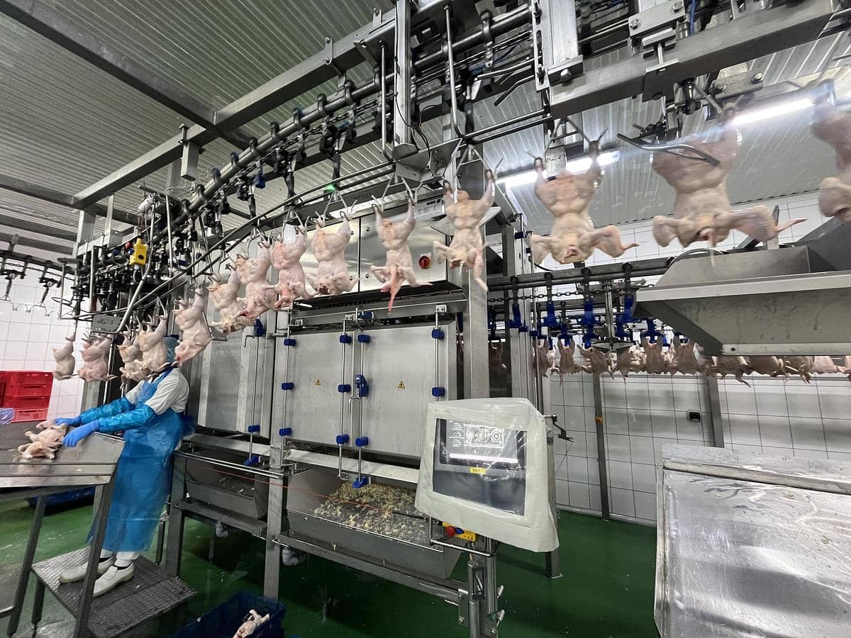 Linco/BAADER Proflex