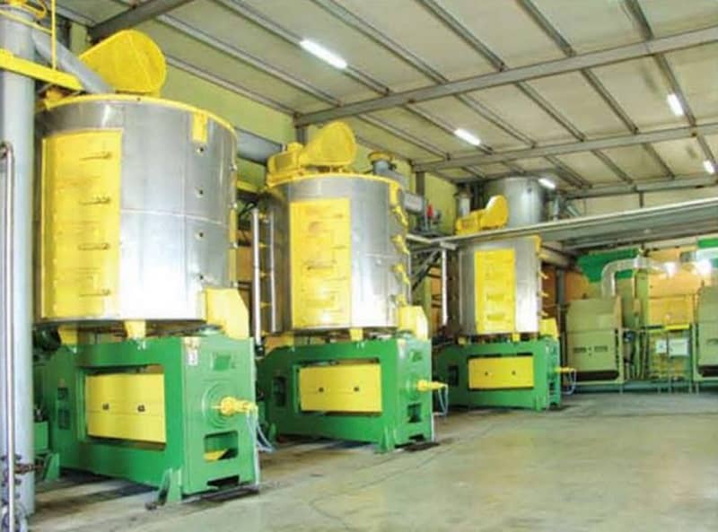 Sunflower Crushing Machine with Cooker