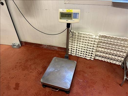 Precia Access Mini400 Platform scale