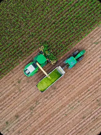 Agriculture