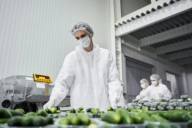 Processing equipment seller on Machinery Masters