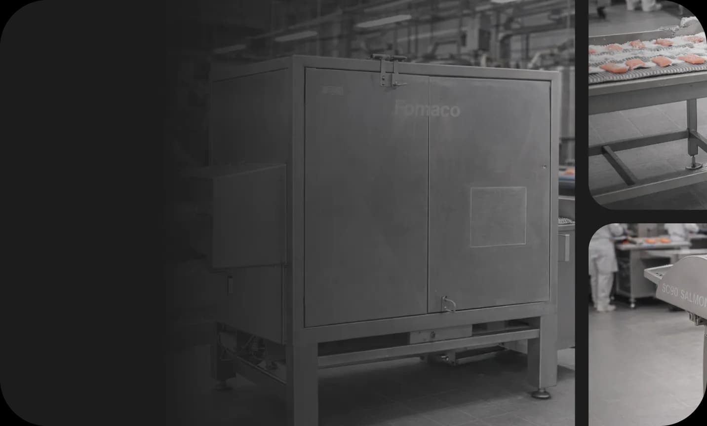 industrial-seafood-processing-line-with-fish-filleting-machines,-descalers,-grading-conveyors-and-automated-shellfish-preparation-equipment