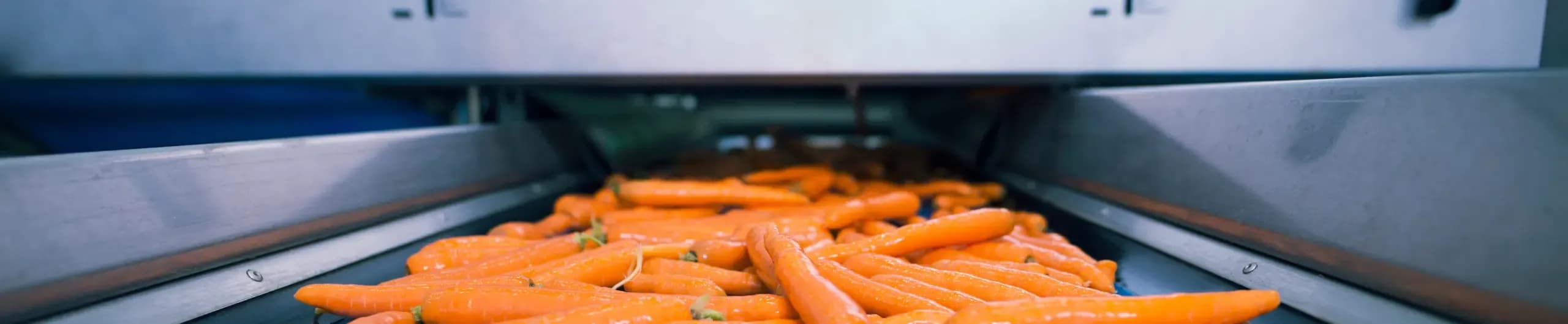 How Do Metal Detectors Work in The Food Industry