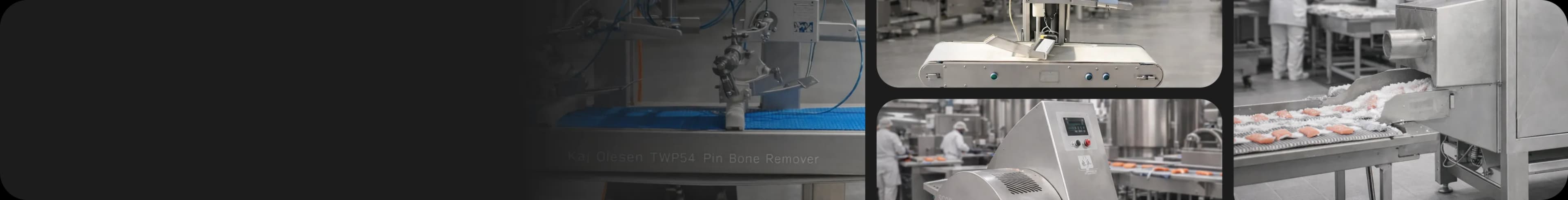 industrial-seafood-processing-line-with-fish-filleting-machines,-descalers,-grading-conveyors-and-automated-shellfish-preparation-equipment