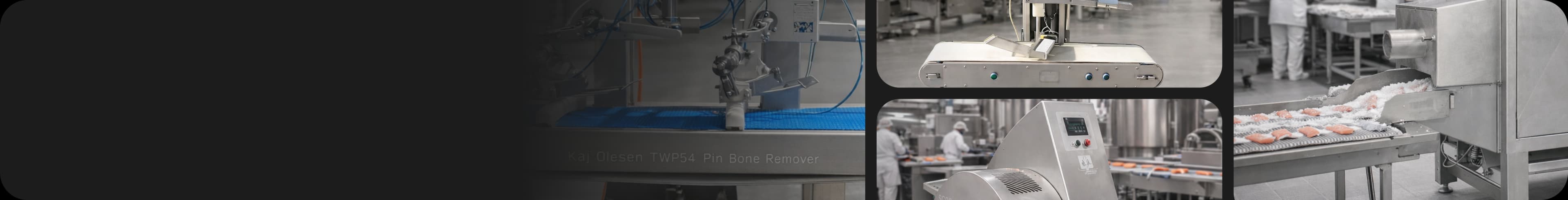 Industrial seafood processing line with fish filleting machines, descalers, grading conveyors and automated shellfish preparation equipment