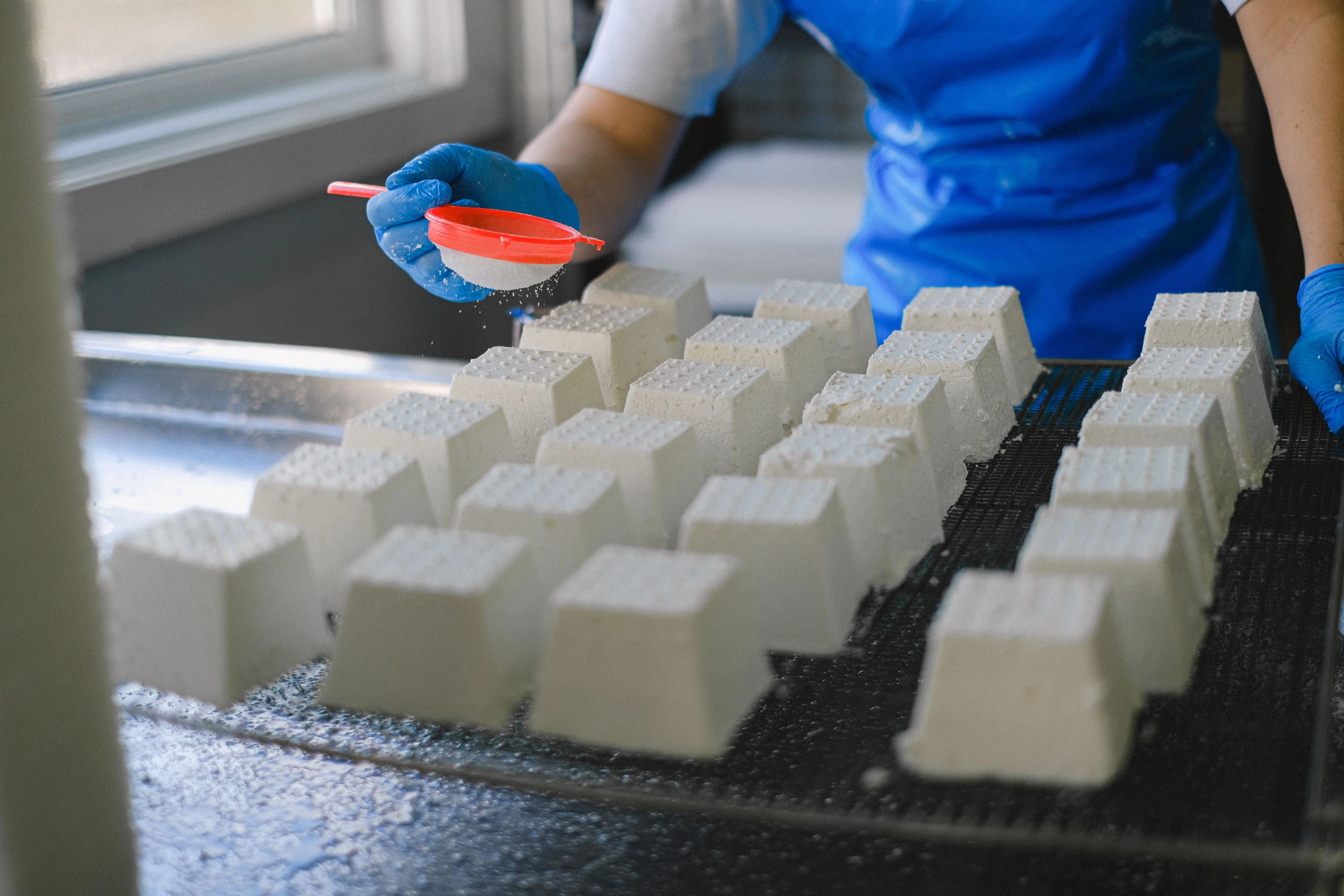 Cheese Making Equipment: A Buyer's Guide for Dairies and Creameries, article header image